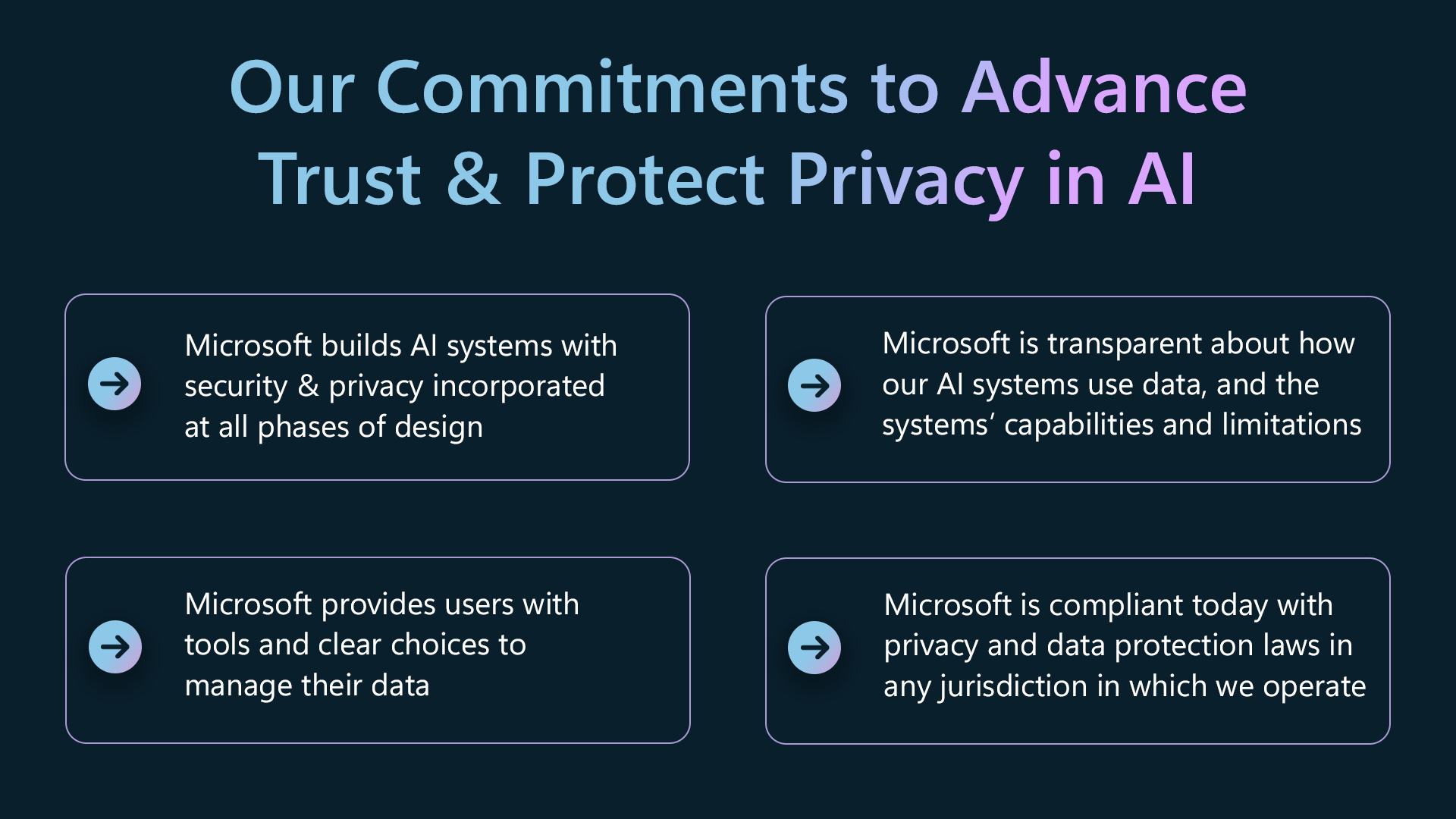 AI Privacy & Governance